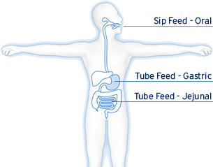 Enteral nutrition uses the gastrointestinal tract 