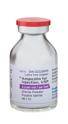 Ampicillin for Injection